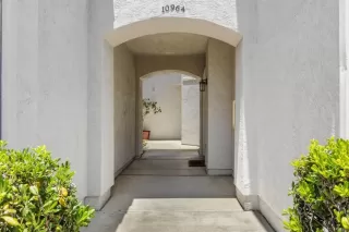 Photo #1: NDP2605325 Listing 