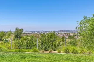 Photo #1: NDP2605614 Listing