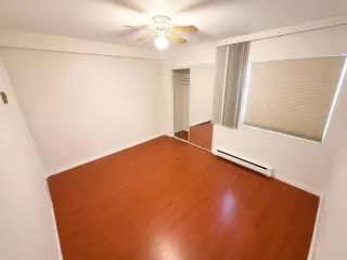 Photo #1: NDP2605777 Listing