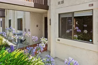 Photo #1: NDP2605831 Listing 