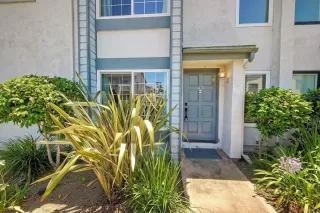 Photo #1: NDP2605875 Listing 