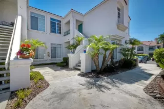 Photo #1: NDP2606037 Listing 
