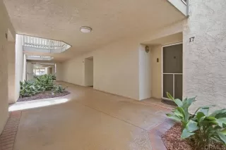 Photo #1: NDP2606436 Listing