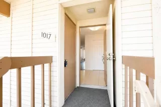 Photo #1: NDP2606479 Listing