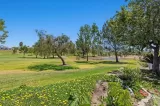 Primary Photo for MLS#: NDP2606662