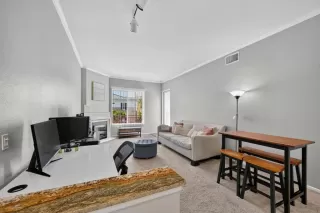 Photo #1: NDP2607429 Listing