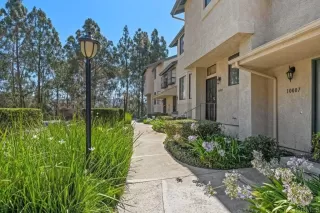 Photo #1: NDP2607537 Listing 