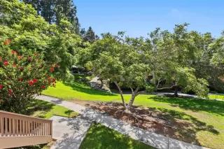 More Details about MLS # NDP2607658 : 12580 CARMEL CREEK ROAD UNIT 42