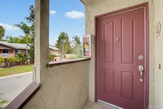 Photo #1: NDP2607941 Listing