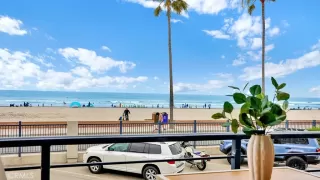 Photo #4: NP25148690 Listing 