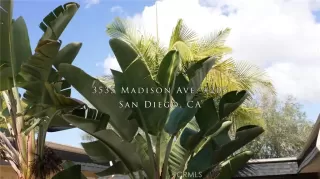 More Details about MLS # NP25169061 : 3535 MADISON AVE