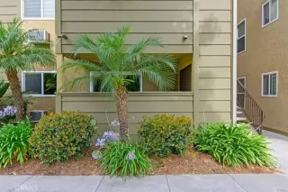 Photo #1: OC23032904 Listing 