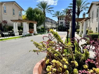 Photo #1: OC25197503 Listing 