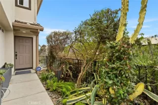 Photo #1: OC26046681 Listing