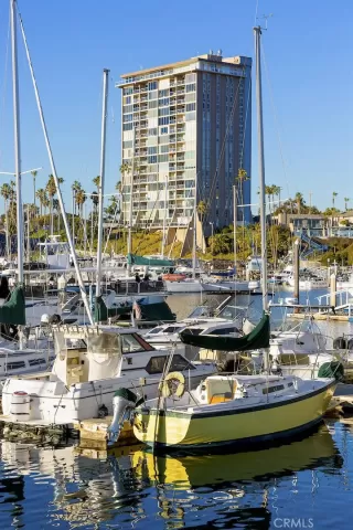 Photo #2: OC26086648 Listing 