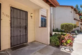 Photo #1: P1-23665 Listing 