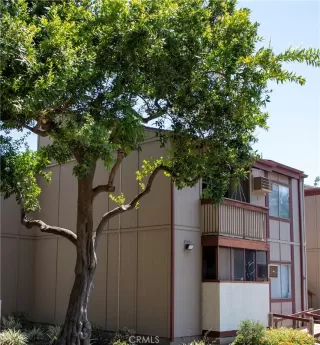 Photo #1: PT24079233 Listing