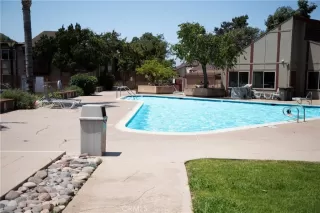 Photo #3: PT24079233 Listing