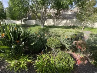 Photo #3: PTP2205920 Listing