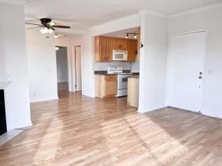 Photo #5: PTP2207696 Listing