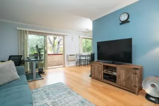 Photo #3: PTP2300097 Listing