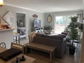 Photo #4: PTP2300180 Listing