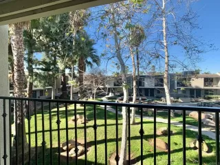 Photo #1: PTP2300426 Listing