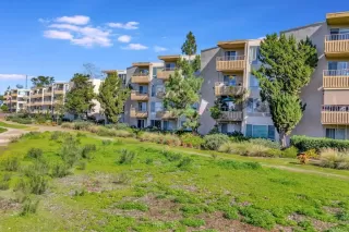 Photo #2: PTP2300480 Listing