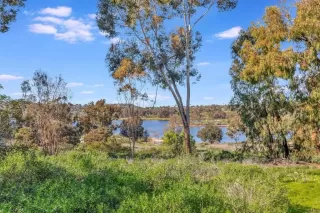 Photo #3: PTP2300480 Listing