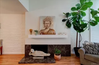 Photo #2: PTP2300605 Listing