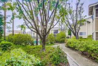 Photo #2: PTP2301256 Listing