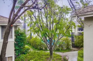 Photo #6: PTP2301256 Listing