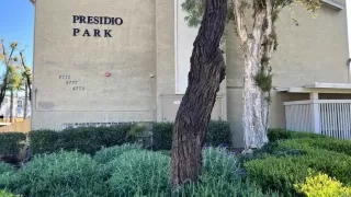 Photo #2: PTP2301331 Listing 