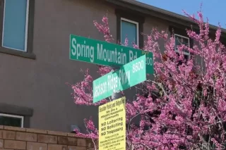 Photo #3: PTP2301447 Listing 