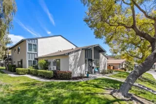 Photo #2: PTP2301461 Listing