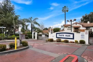 Photo #1: PTP2301499 Listing