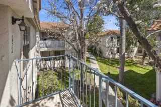 Photo #5: PTP2301654 Listing 