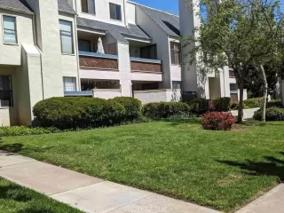 Photo #3: PTP2301852 Listing