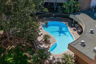 Photo #5: PTP2301864 Listing