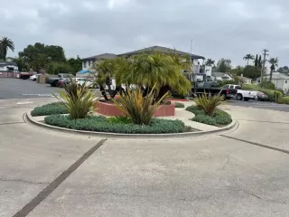 Photo #2: PTP2301961 Listing