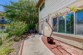 Photo #1: PTP2301979 Listing 