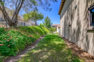 Photo #3: PTP2301979 Listing 