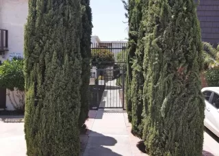 Photo #1: PTP2302231 Listing