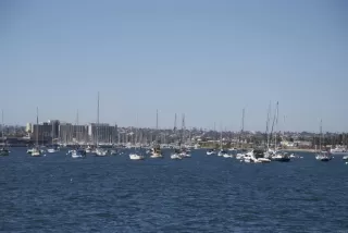 Photo #4: PTP2302293 Listing