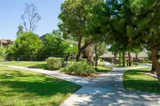 Photo #5: PTP2302324 Listing