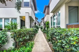 Photo #5: PTP2302428 Listing