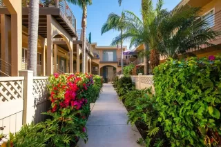 Photo #1: PTP2302477 Listing 
