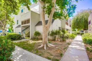 Photo #1: PTP2303009 Listing