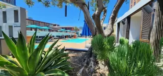 Photo #4: PTP2303013 Listing