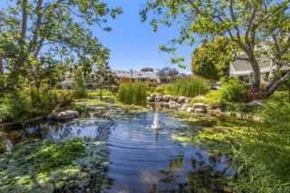 Photo #2: PTP2303185 Listing